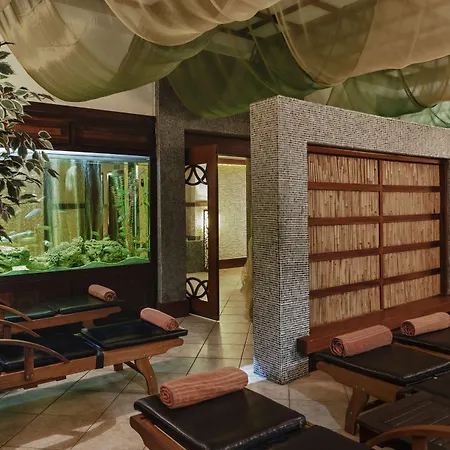 منتجع دلفين بالاس