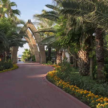 منتجع دلفين بالاس 5*