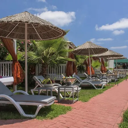 Delphin Palace Курортный комплекс 5*